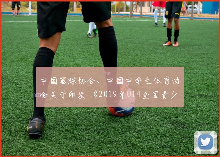 中国篮球协会、中国中学生体育协会关于印发 《2019年U14全国青少年篮球联赛竞赛规程》的通知