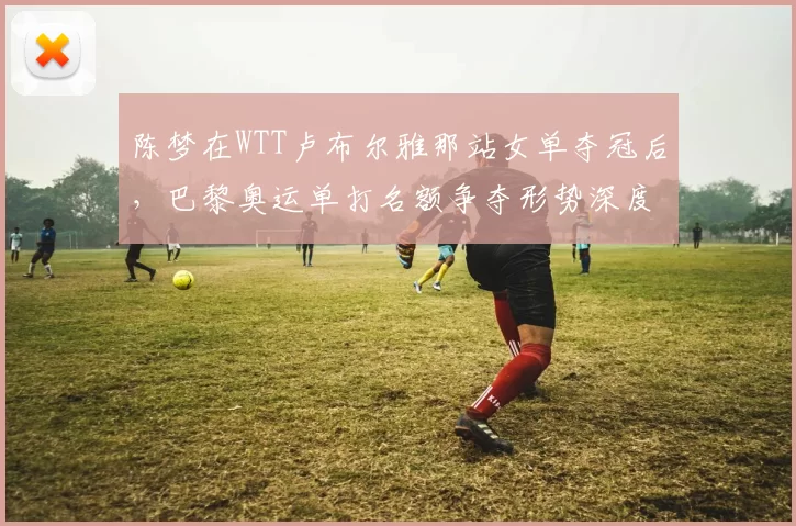 陈梦在WTT卢布尔雅那站女单夺冠后，巴黎奥运单打名额争夺形势深度分析