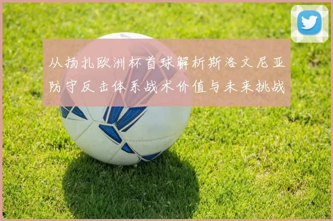 从扬扎欧洲杯首球解析斯洛文尼亚防守反击体系战术价值与未来挑战